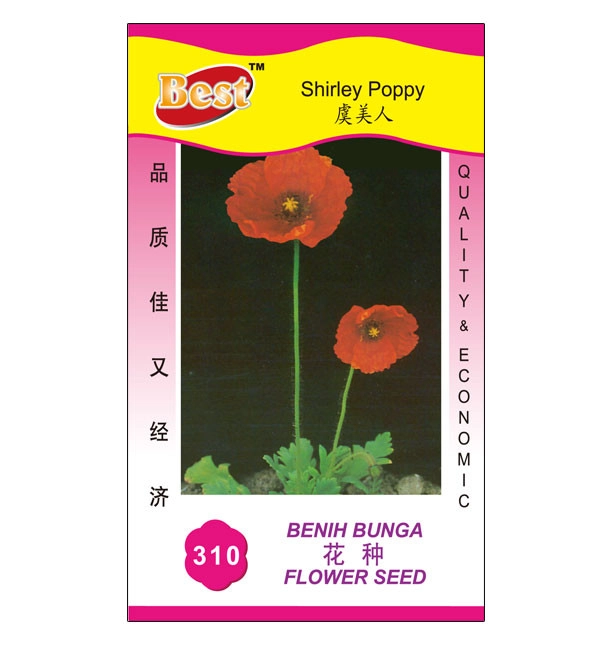 Shirley Poppy Seed