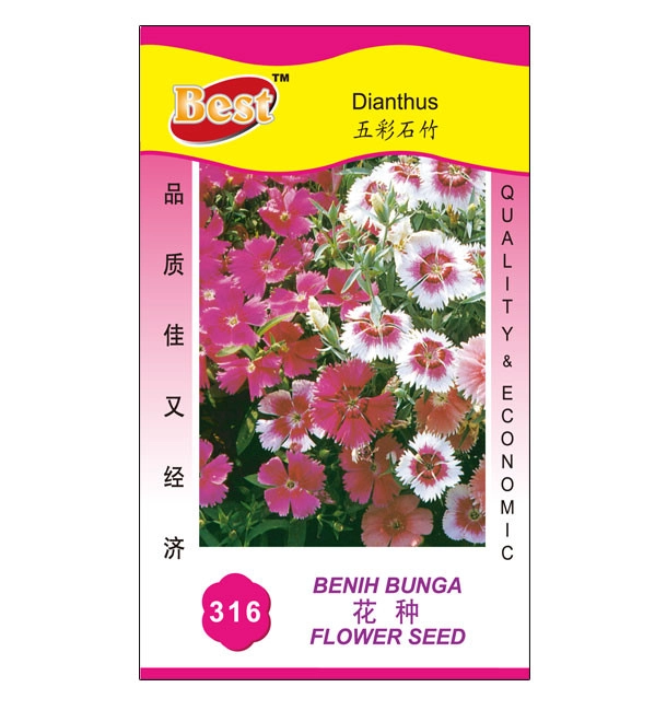 15895320787e5c6fae38e286a118e55af5486888e0 Dianthus Seed